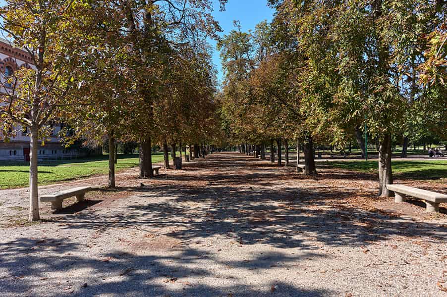 Viale alberato di un parco durante l'autunno con alberi dai rami pieni di foglie, alcuni banchi di legno ai lati e il cielo azzurro che si intravede tra le chiome